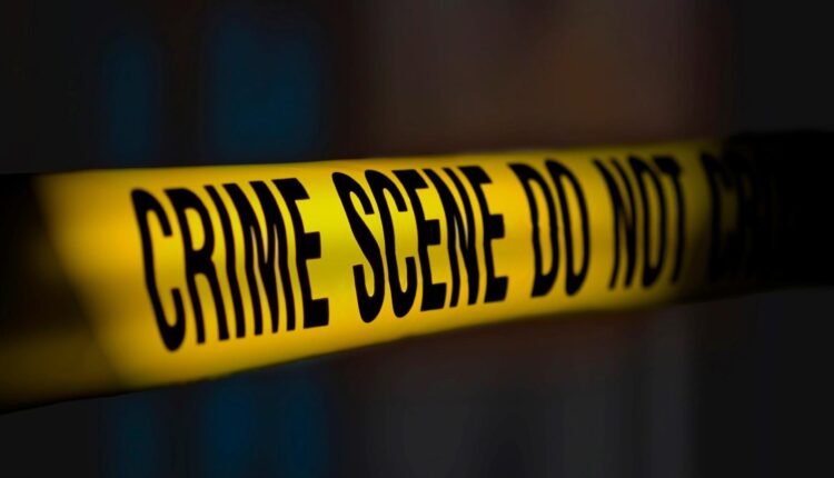 Man, 65, Allegedly Shoots Another Over Avocado