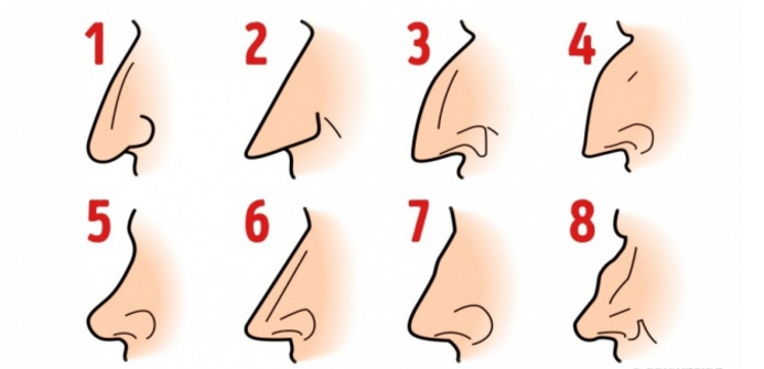 What kind of nose do you have? THIS is what it says about your personality
