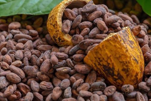 US Tariff to impact Ghana’s Cocoa, Textiles and Agriculture