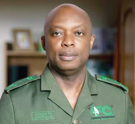 Ghana risks losing EU timber export licence – Parliament yet to ratify protocols