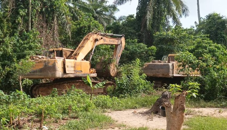 Tano Anwia Forest: Four excavators seized in fresh raid