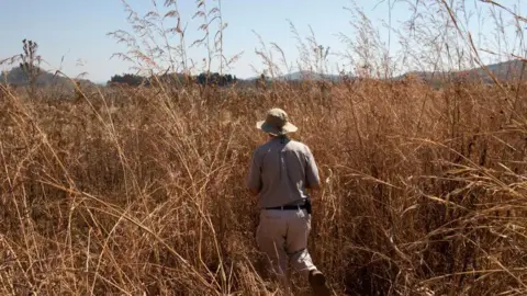 Zimbabwe makes first compensation payments to white farmers over land grabs