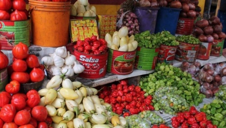 Food inflation: Slow implementation of agric initiatives blamed