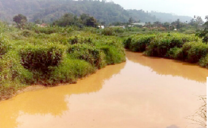 We are silenced by fear as galamsey crisis deepens – Peasant Farmers Association