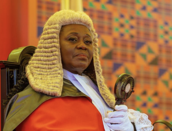 Removal of CJ threatens judicial independence – Economic Fighters League