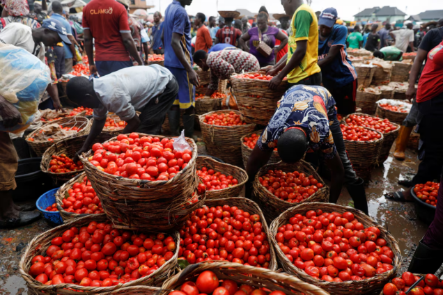 Too watery, too risky – Why Ghanaian traders prefer Burkina tomatoes